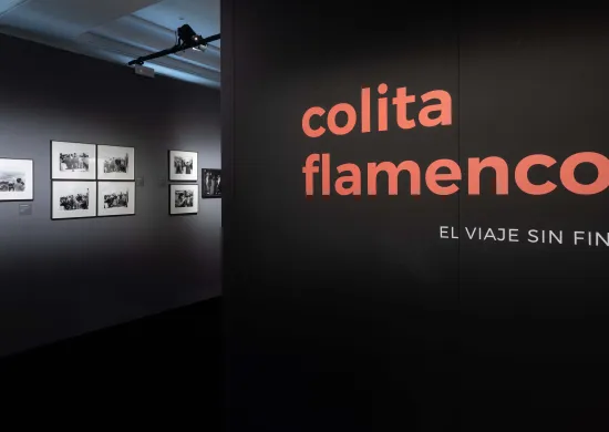 Colita Flamenco_Teatro Español